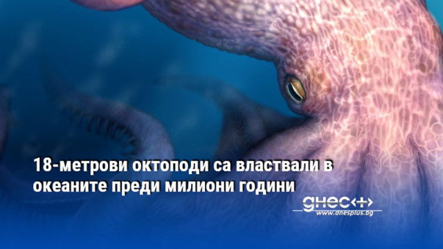 18-метрови октоподи са властвали в океаните преди милиони години