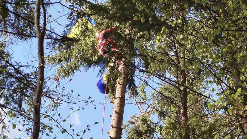 Отряд на ПСС спаси парапланерист, заплел се в дърво