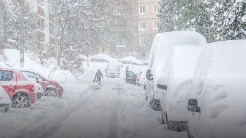 Отменени полети и паднали дървета: Снежна буря връхлетя Москва