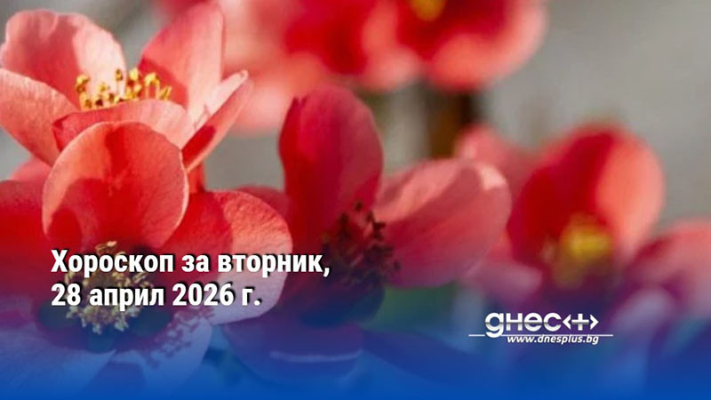 Хороскоп за вторник, 28 април 2026 г.