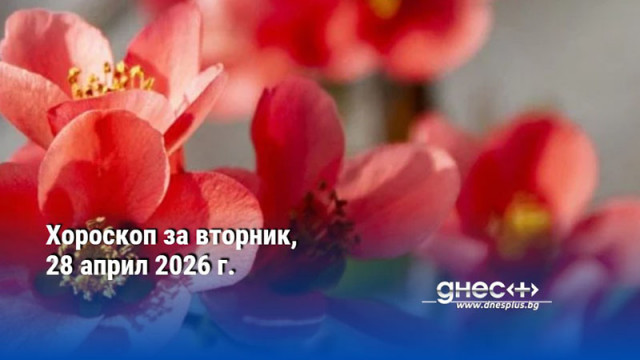 Хороскоп за вторник, 28 април 2026 г.