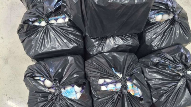 БАБХ активно пресича яйца и пилешко на турската граница