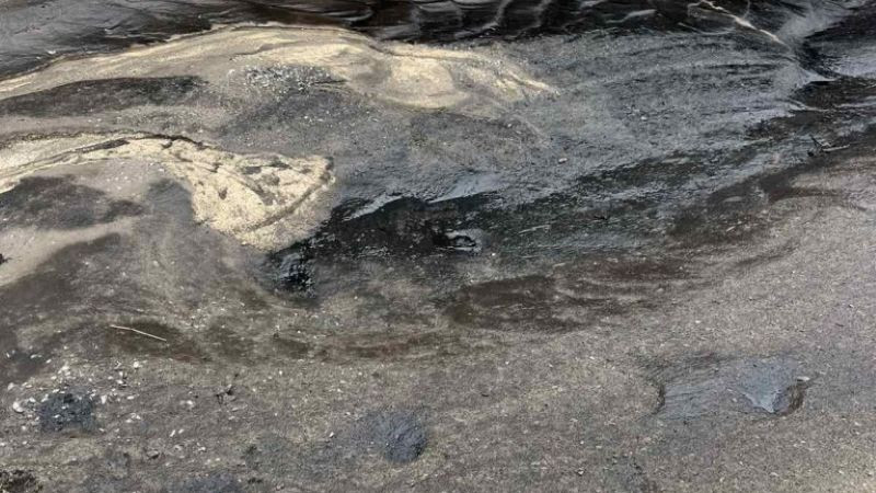 Петно от мазут се появи на плаж във Варна