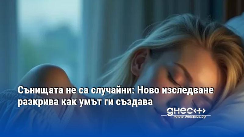Сънищата не са случайни: Ново изследване разкрива как умът ги създава