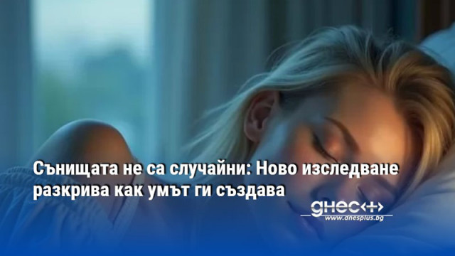 Сънищата не са случайни: Ново изследване разкрива как умът ги създава