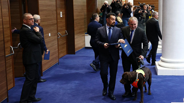 Лабрадорът Роувър ще бъде 241-вият "депутат"