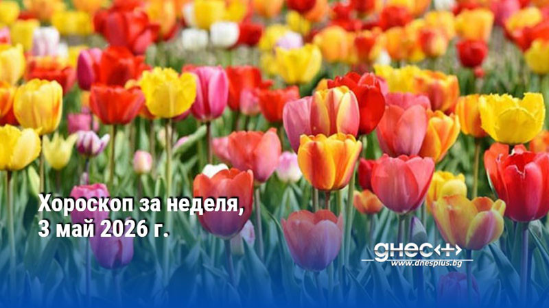 Хороскоп за неделя, 3 май 2026 г.
