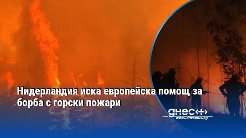 Нидерландия иска европейска помощ за борба с горски пожари