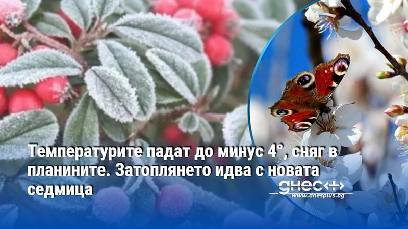 Температурите падат до минус 4°, сняг в планините. Затоплянето идва с новата седмица