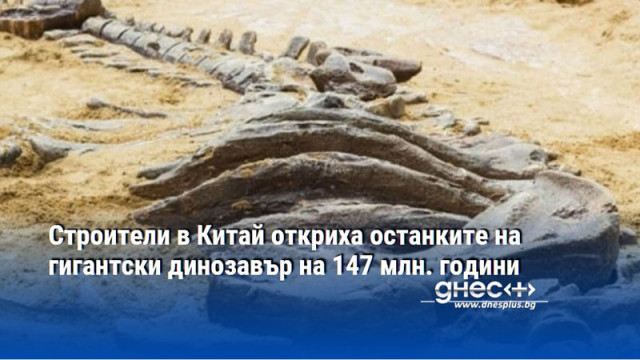 Строители в Китай откриха останките на гигантски динозавър на 147 млн. години