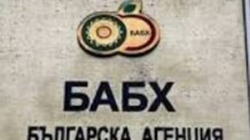 Изтекъл срок, без етикети и лоша хигиена: БАБХ откри нарушения в столове и кухни в цялата страна