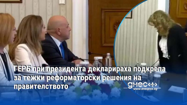 ГЕРБ при президента декларираха подкрепа за тежки реформаторски решения на правителството
