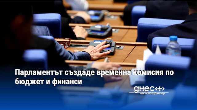 Парламентът създаде временна комисия по бюджет и финанси