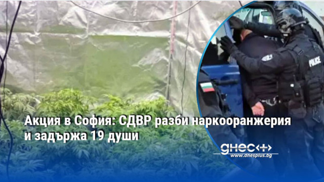 Акция в София: СДВР разби наркооранжерия и задържа 19 души