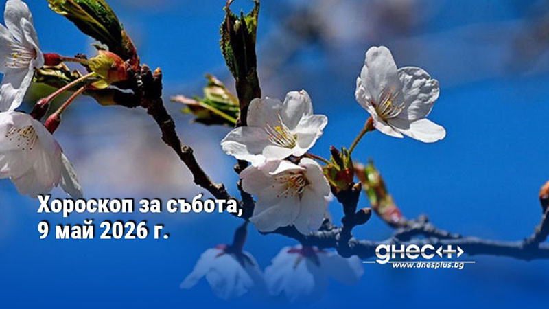 Хороскоп за събота, 9 май 2026 г.