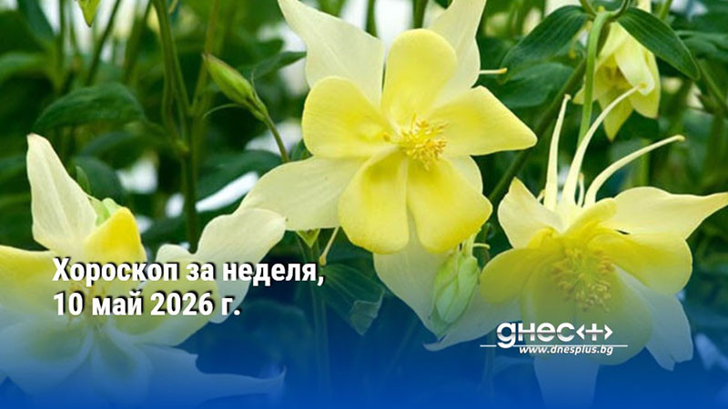 Хороскоп за неделя, 10 май 2026 г.