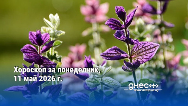 Хороскоп за понеделник, 11 май 2026 г.