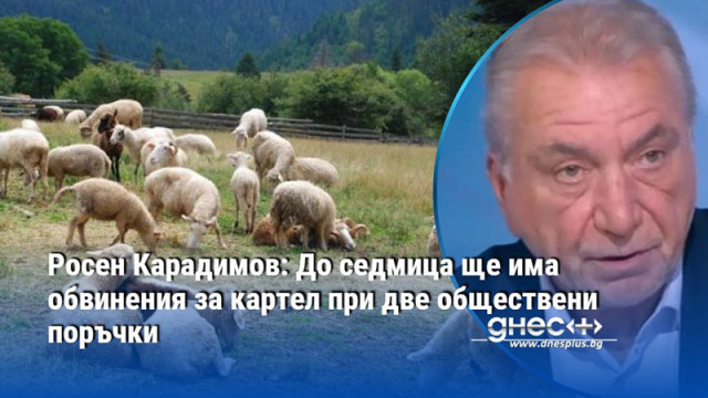 Росен Карадимов: До седмица ще има обвинения за картел при две обществени поръчки