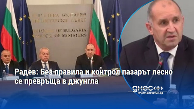 Радев: Без правила и контрол пазарът лесно се превръща в джунгла