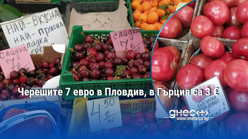 Черешите 7 евро в Пловдив, в Гърция са 3 €