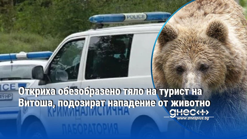Откриха обезобразено тяло на турист на Витоша, подозират нападение от животно