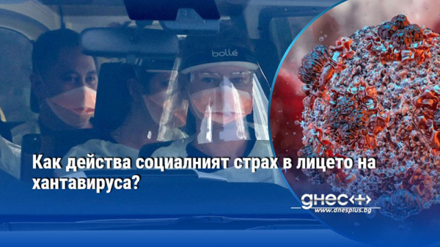 Как действа социалният страх в лицето на хантавируса?