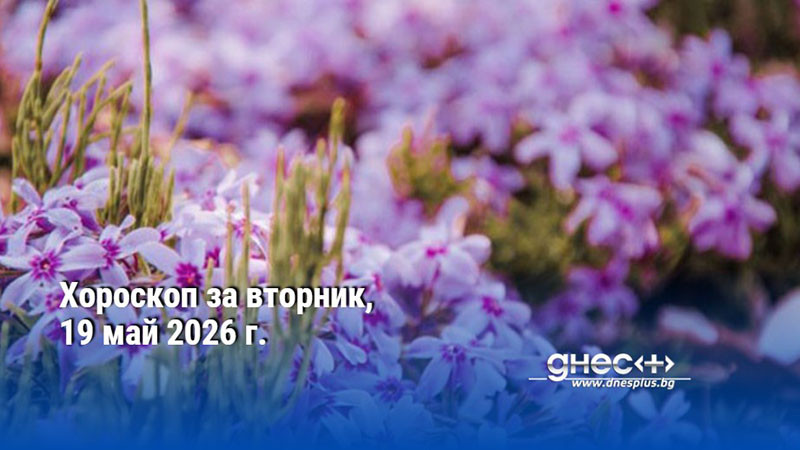 Хороскоп за вторник, 19 май 2026 г.