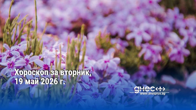 Хороскоп за вторник, 19 май 2026 г.