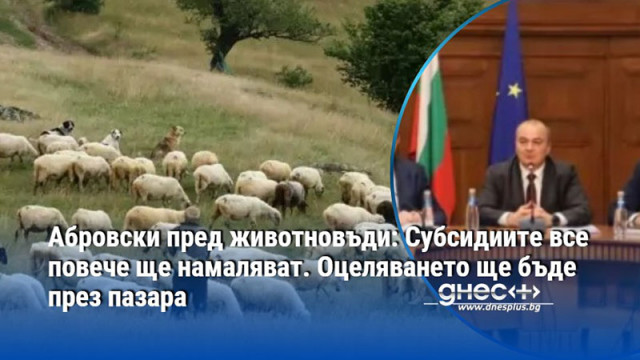 Абровски пред животновъди: Субсидиите все повече ще намаляват. Оцеляването ще бъде през пазара