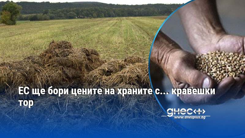 ЕС ще бори цените на храните с... кравешки тор