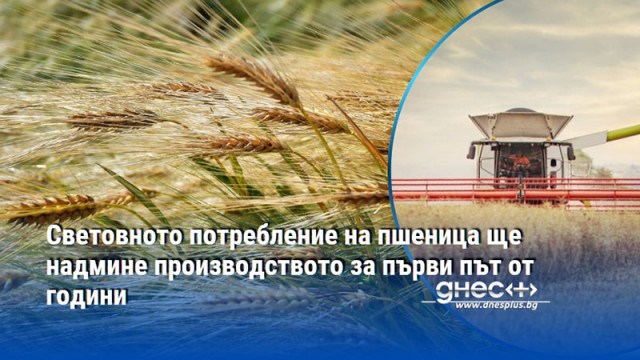 Световното потребление на пшеница ще надмине производството за първи път от години