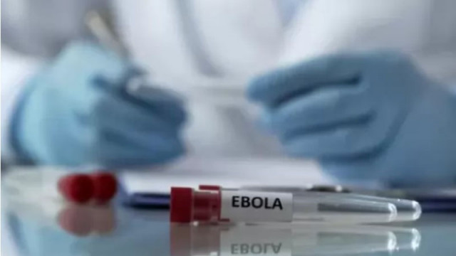 СЗО обяви извънредна международна ситуация заради огнище на Ебола в Африка