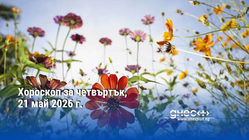Хороскоп за четвъртък, 21 май 2026 г.