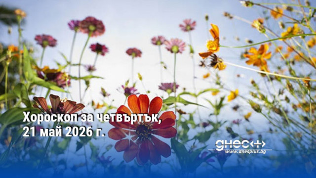 Хороскоп за четвъртък, 21 май 2026 г.