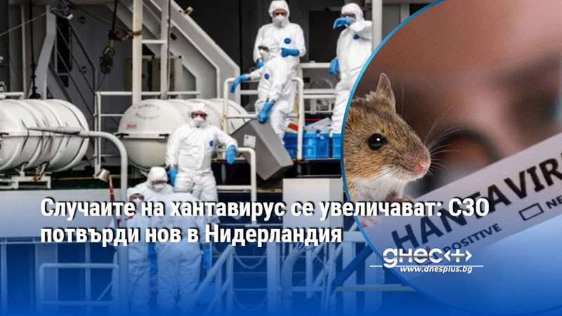 Случаите на хантавирус се увеличават: СЗО потвърди нов в Нидерландия