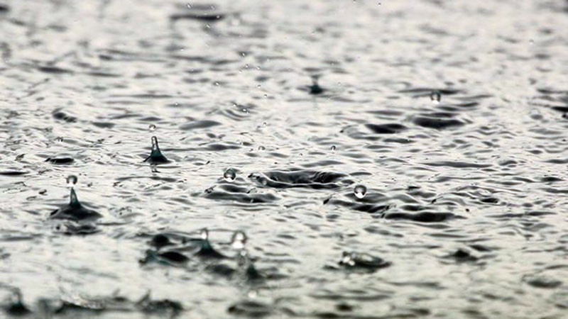 РЗИ следи за отровени води и зарази след поройните дъждове