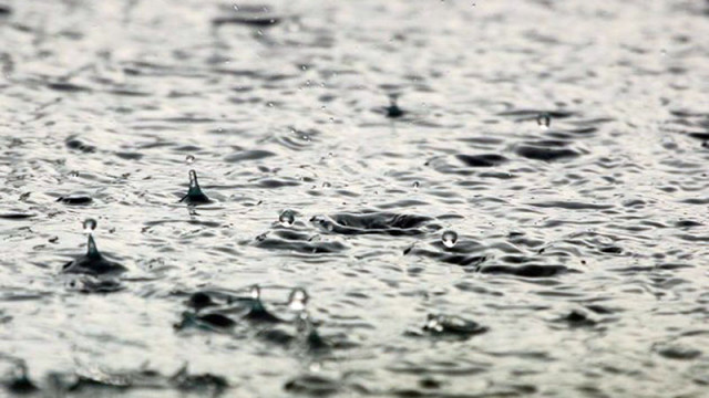РЗИ следи за отровени води и зарази след поройните дъждове