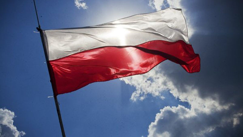 Един човек е загинал, а няколко души са ранени при сблъсък на камион с влак в Полша