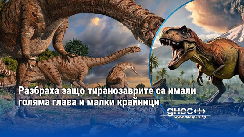 Разбраха защо тиранозаврите са имали голяма глава и малки крайници