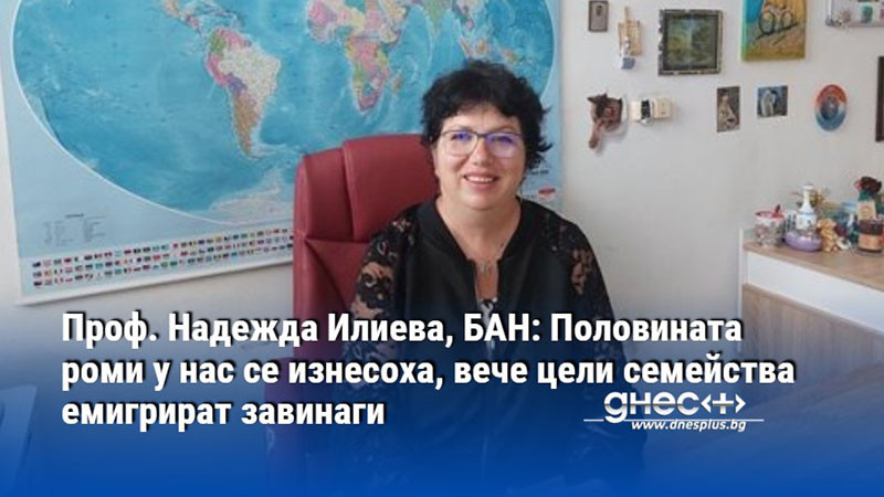 Проф. Надежда Илиева, БАН: Половината роми у нас се изнесоха, вече цели семейства емигрират завинаги