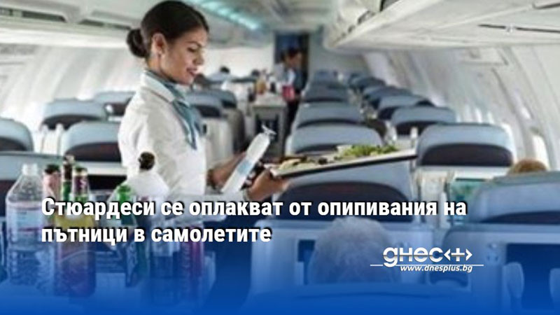 Стюардеси се оплакват от опипивания на пътници в самолетите