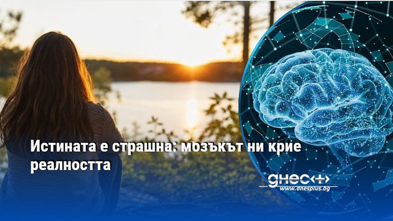 Истината е страшна: мозъкът ни крие реалността