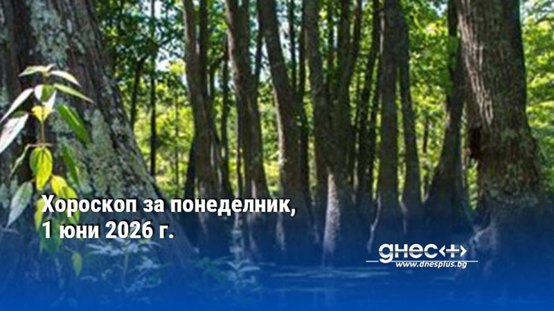 Хороскоп за понеделник, 1 юни 2026 г.