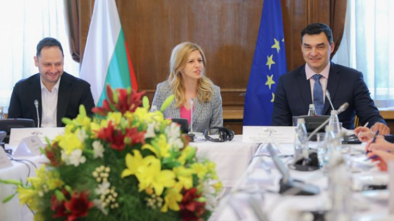 Пред посланиците на ЕС: Доцова показа накъде тръгва парламентът