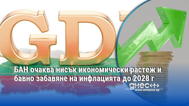 БАН очаква нисък икономически растеж и бавно забавяне на инфлацията до 2028 г
