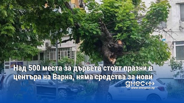 Район Одесос търси средства за ново озеленяване след като стотици