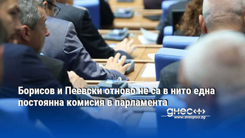 Борисов и Пеевски отново не са в нито една постоянна комисия в парламента