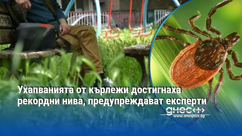 Ухапванията от кърлежи достигнаха рекордни нива, предупреждават експерти