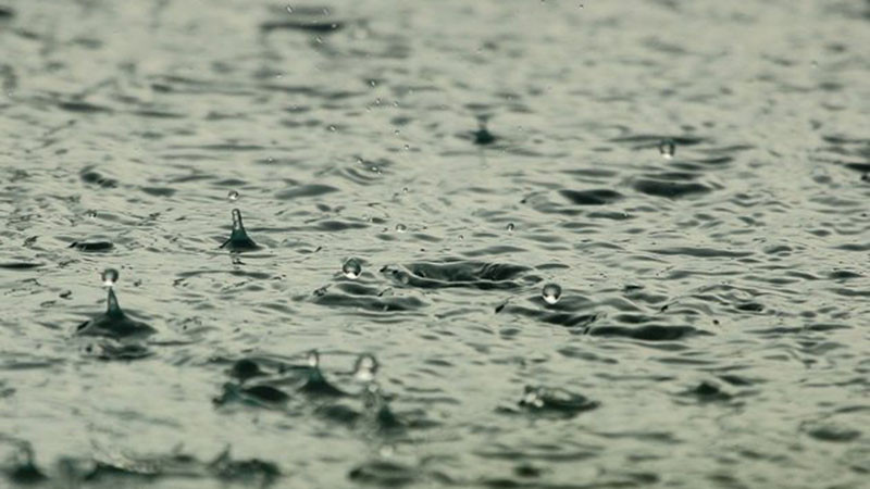 Силен дъжд наводни къщи във варненското село Войводино