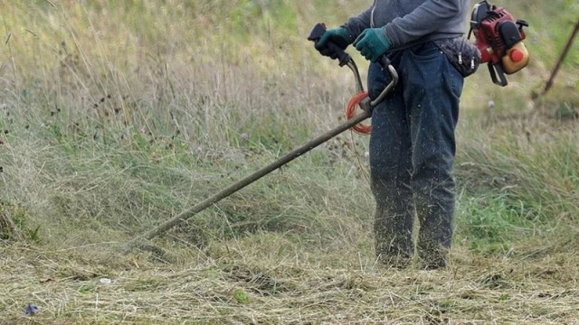Кърлежите се развиват най благоприятно когато е топло дори горещо